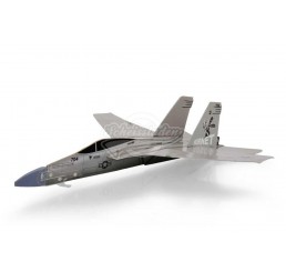 Modellflugzeug F18 Hornet