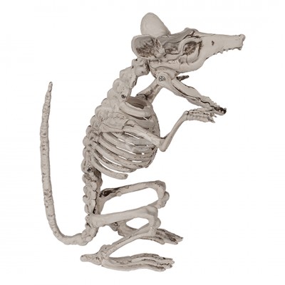 Halloween - Figur "Rattenskelett" 